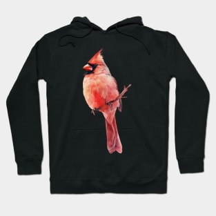 Cardinal Bird Apparel Wonderland Hoodie